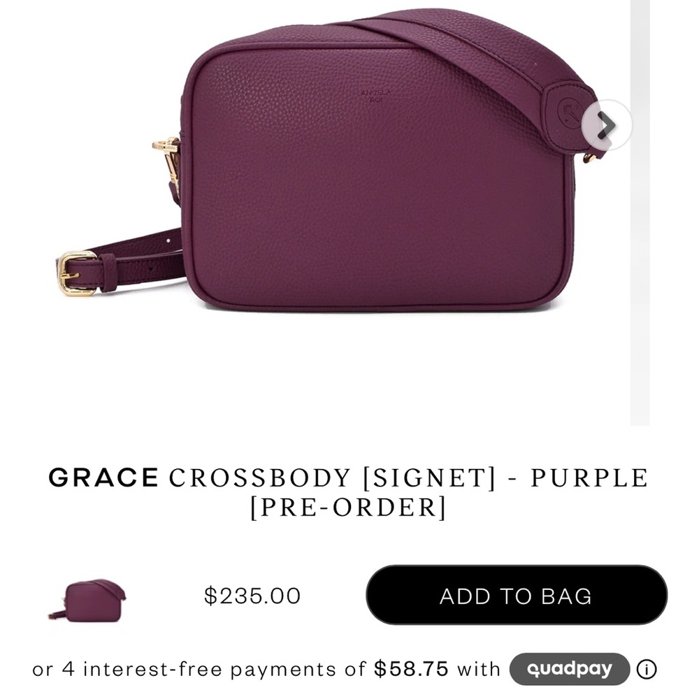 New, barely used grace beautiful spacious handbag